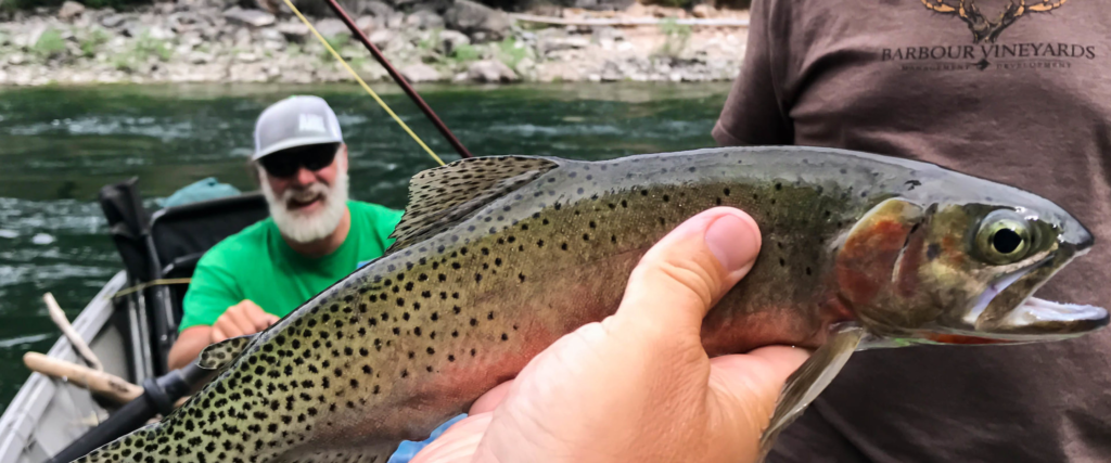 Part 1 Drifting The Middle Fork Of The Salmon River Idaho Guide Roy “riggins” Akins The 6470